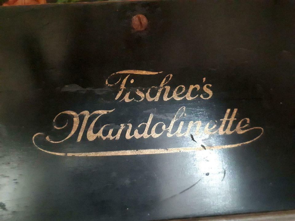Fischers Mandoline in Drakenburg