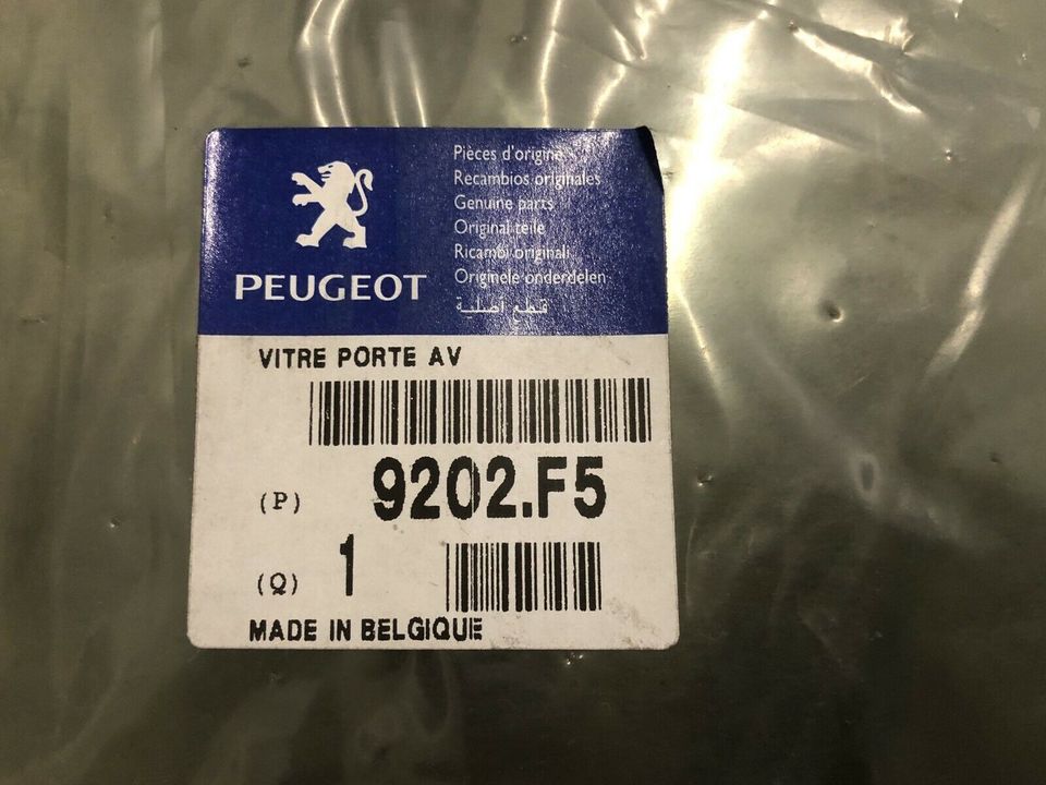 Türscheibe Peugeot 206CC Teile-Nr. 9202F5 in Brandenburg - Ahrensfelde