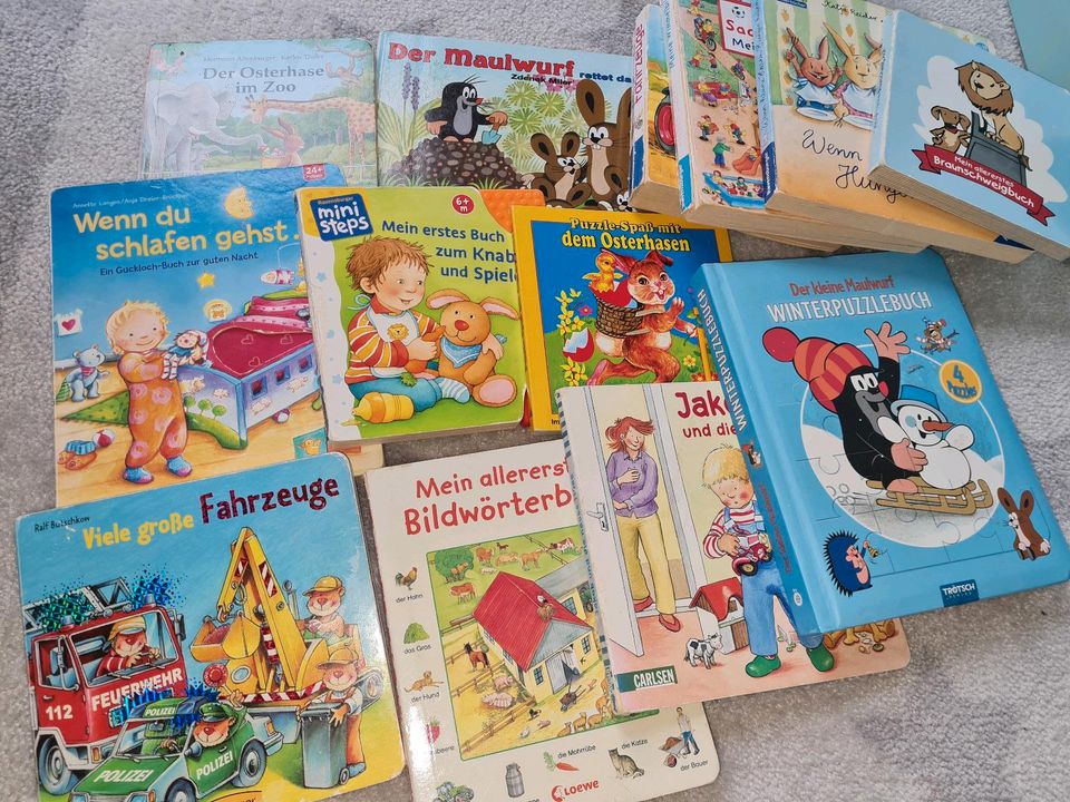 Bücher Pakiet Kinderbücher Puzzlebuch Wimmelbuch 13 Stück in Braunschweig