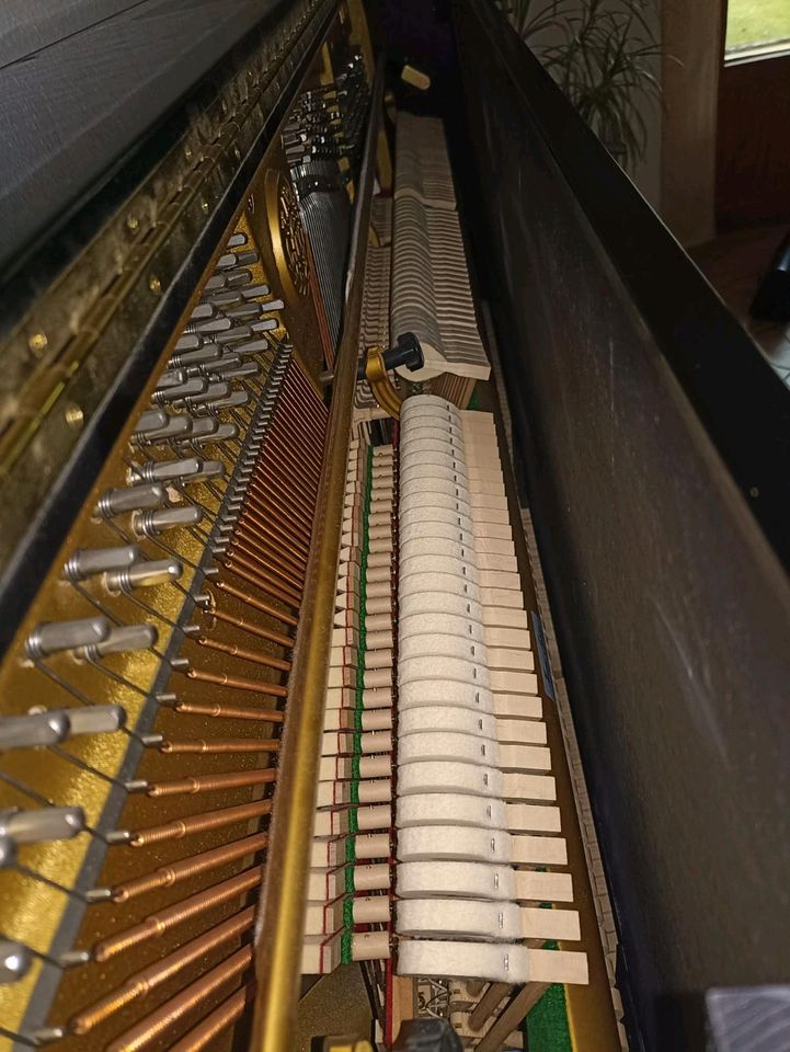 Klavier Kawai NS-10 in Bad Waldsee