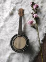 Banjo Mandolin Original Vintage Sachsen-Anhalt - Theeßen Vorschau