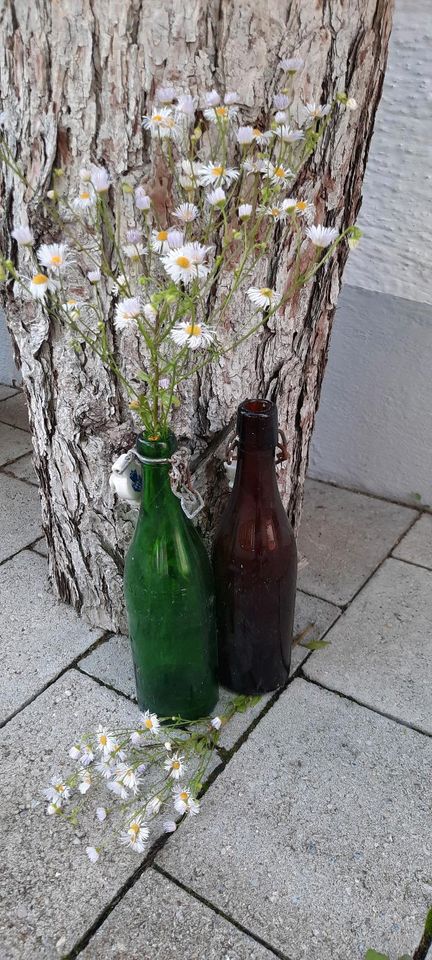 Flaschen mit Bügelverschluss, Deko, Sammler in Stammham b. Ingolstadt