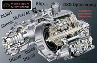 DSG & Getriebe Optimierung ❎ uvm... DQ200 DQ250 DQ500 usw... Nordrhein-Westfalen - Marsberg Vorschau