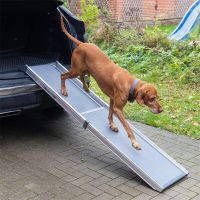 VOSS.PET Teleskop-Hunderampe Auto Einstiegshilfe Hund Hunderampe Nordfriesland - Viöl Vorschau