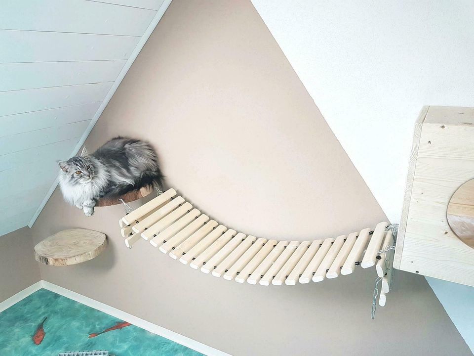 Katzen Wandpark Sitzbretter Höhle Hängebrücke Leiter Set komplett in Moosbach b. Vohenstrauß