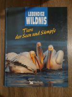 Lebendige Wildnis - Tiere der Seen und Sümpfe Bayern - Augsburg Vorschau
