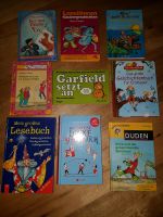 Kinderbücher, Leselöwe, Duden, Garfield Comic Dortmund - Hombruch Vorschau