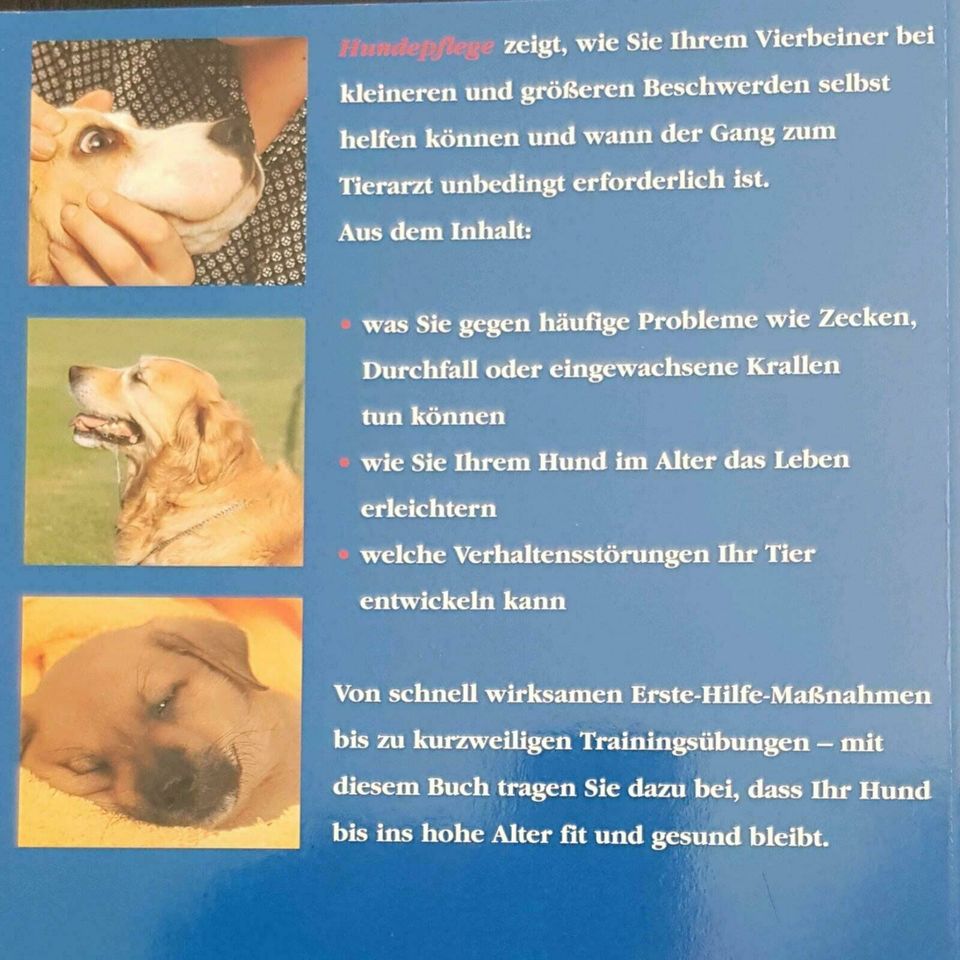 Hunde Pflege richtig durchführen Probleme Beschwerden Hund in Köln