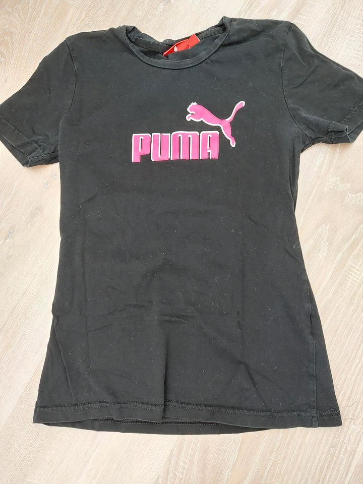 T-Shirt*Sport Shirt*Shirt* Größe 152*Puma u.a. in Seedorf