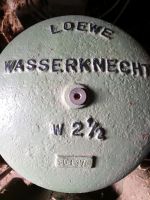 Kolbenpumpe Löwe Wasserknecht W 2 1/2 Thüringen - Worbis Vorschau