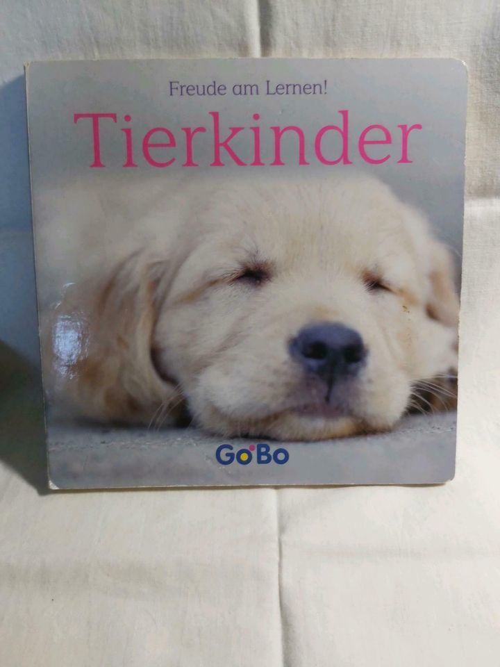 Buch " Tierlinder" Hartkarton, . in Sachsen-Anhalt - Magdeburg