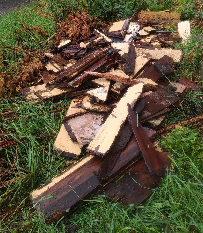 Altholz Brennholz Bastelholz zu verschenken in Zahna