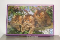 Puzzle Katzen 1000 Teile vollständig (siehe Foto) F. X. Schmid Bayern - Bubesheim Vorschau