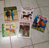 Kinderbücher Pferde Ponys Reiten lernen Englisch Nordrhein-Westfalen - Düren Vorschau
