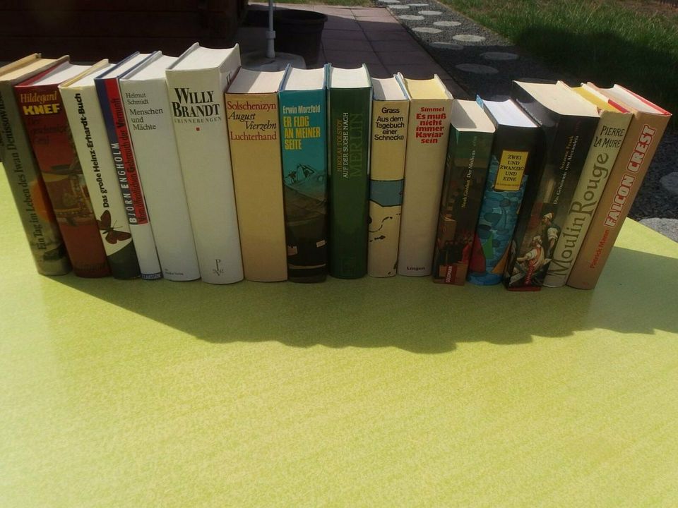 15 Bücher Sachbuch Romane Politik Humor in Nordrhein-Westfalen - Niederzier