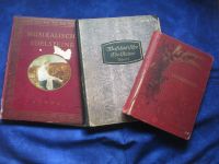 3 alte Liederbücher ,Liederquell u. Musikal. Edelsteine 1900-1929 Bayern - Rückersdorf Vorschau