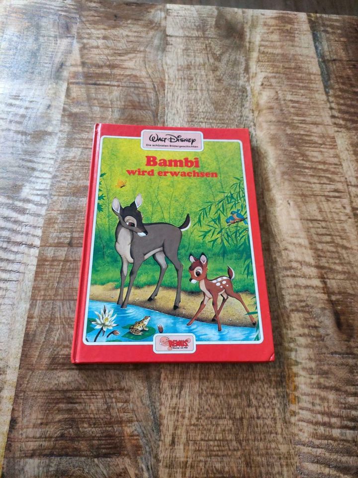 Bambi wird erwachsen, 1983, Remus Verlag, Kinderbuch in Knittlingen