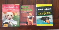 3 Bücher Hundeerziehung Trainingsmethoden Verhaltensregeln Welpe Nordrhein-Westfalen - Wickede (Ruhr) Vorschau