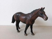 SCHLEICH Pferd / Englisches Vollblut Nordrhein-Westfalen - Nettetal Vorschau