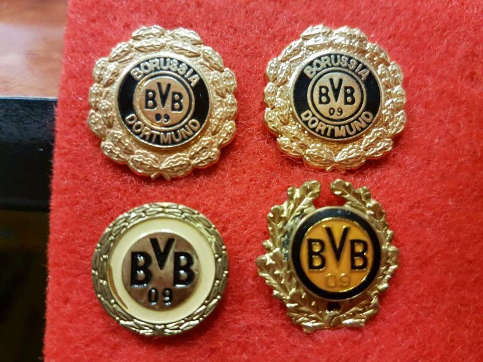 BVB Anstecker Meuster 2019 ?! Fussball Pin Borussia Dortmund Meisterschale 