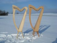 Online Harfe lernen leicht Fortgeschrittene 3x2 Std insgesamt 42€ Baden-Württemberg - Horgenzell Vorschau