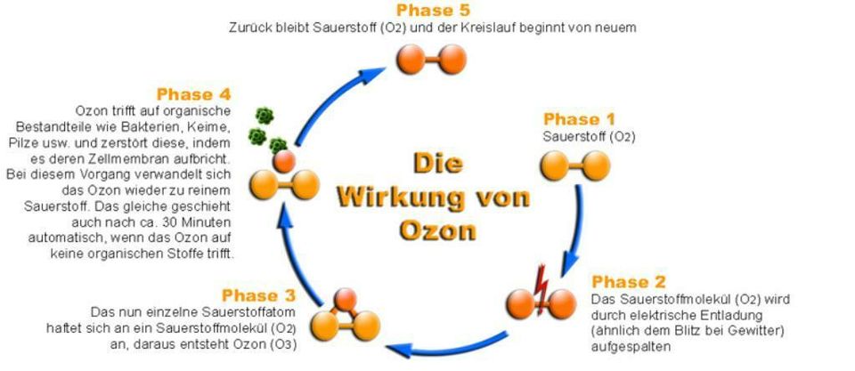 Ozon Desinfektion PKW Ozon Reinigung Chemie Frei zum Aktionspreis in Dortmund