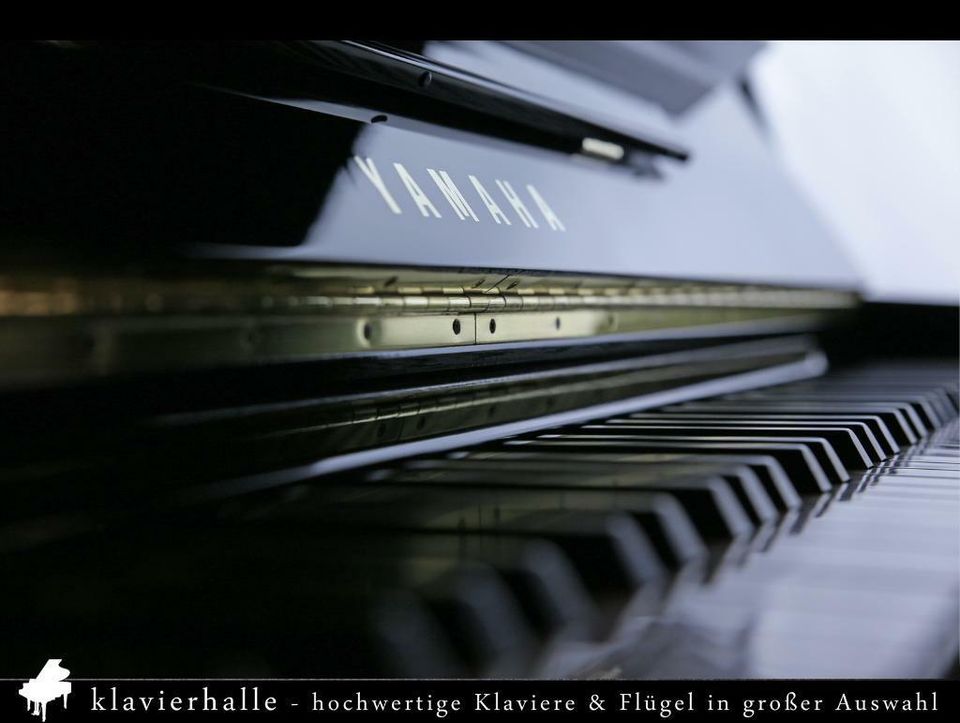 200 gebrauchte Flügel & Klaviere vom Fachhändler ★ ab 990€ in Altenberge