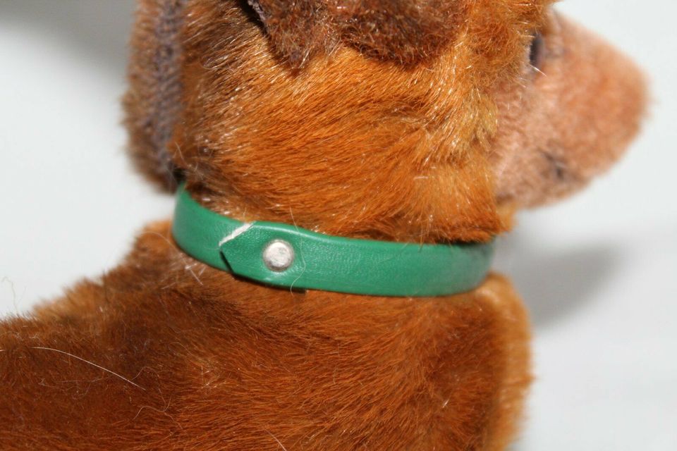 STEIFF Dackel Hexie 17 cm Knopf 70er grünes Halsband in