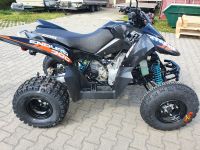 Quad ATV Access 300SX Modell22**sofort verfügbar** Sachsen - Naunhof Vorschau