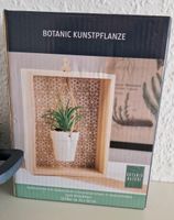 Kunstpflanze inklusive Aufhängung Nordrhein-Westfalen - Zülpich Vorschau