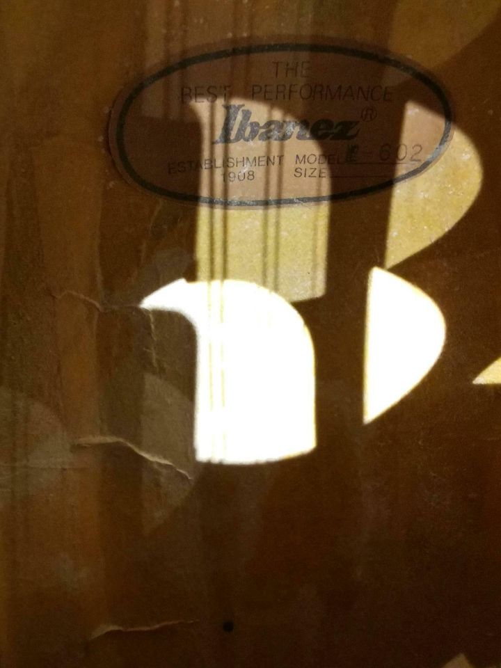 Ibanez Mandoline made in Japan in Hannover - Mitte