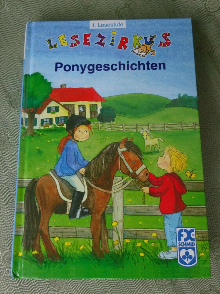 Buch, Kinderbuch Lesezirkus Ponygeschichten in Bayern - Arzberg