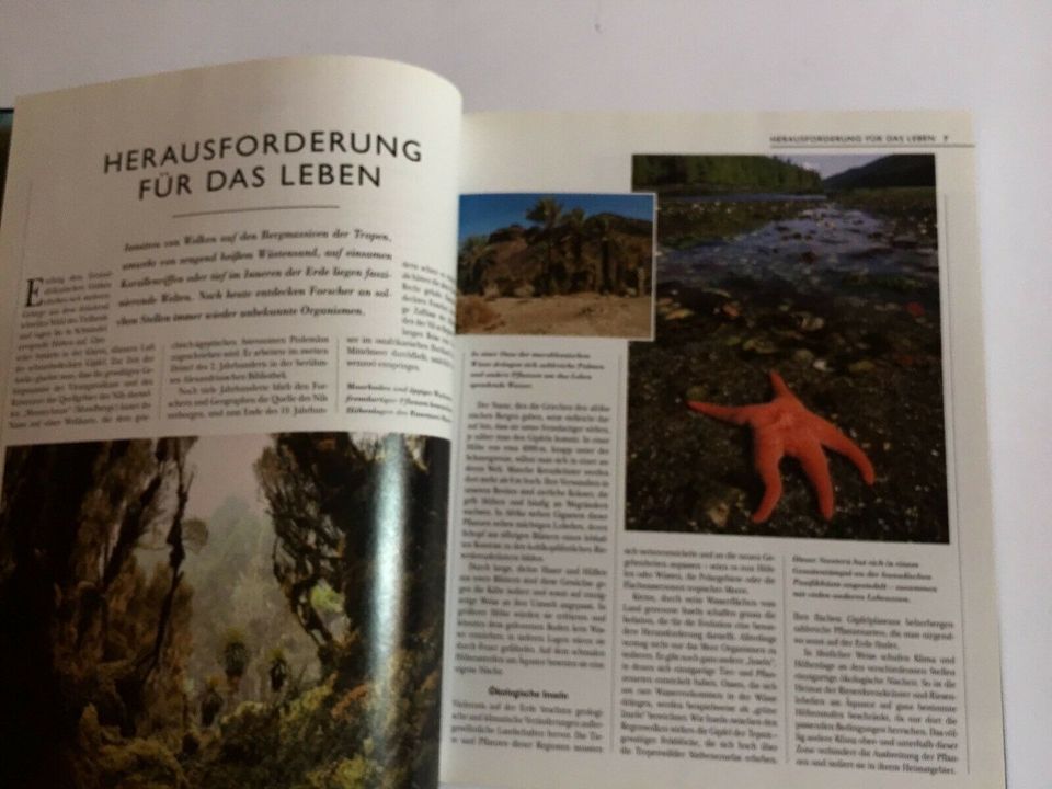 Extreme Lebensräume,Lebendige Wildnis; Tiere der Regenwälder in Düsseldorf - Bezirk 6