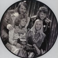 ABBA - Summer Night City Picture Disc rare limited selten neu Hessen - Karben Vorschau